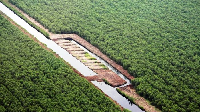 PENGELOLAAN AIR LAHAN GAMBUT