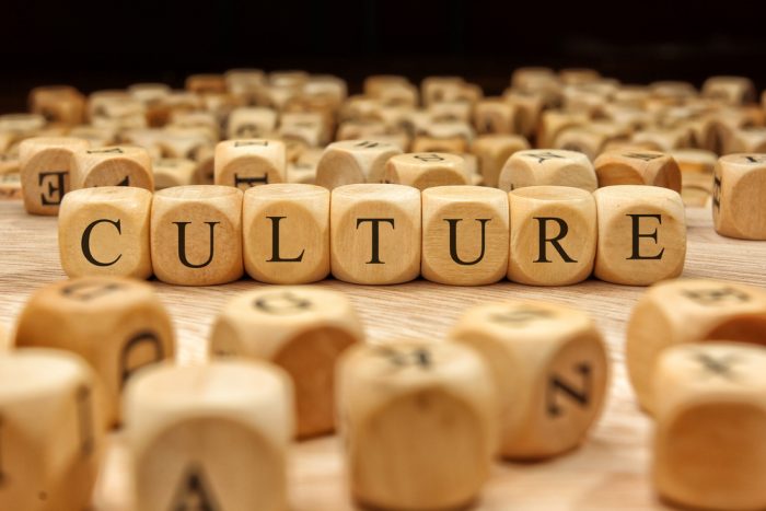 Pelatihan Budaya Perusahaan (Corporate Culture)