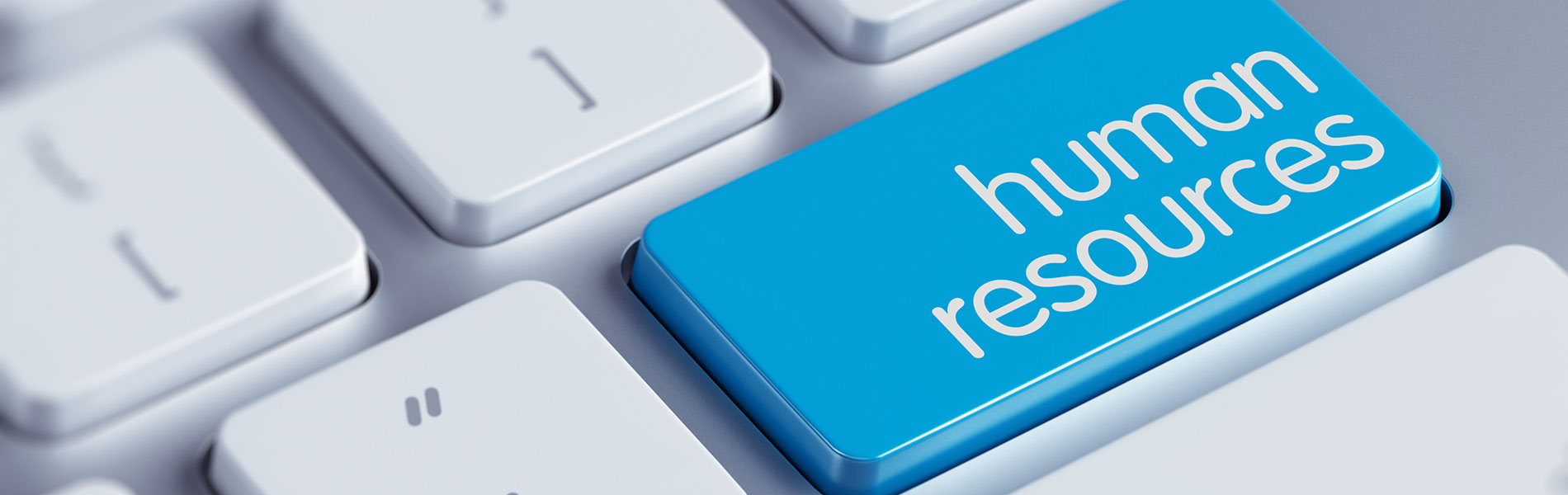 PELATIHAN HUMAN RESOURCE INTEGRATED TRAINING (RECRUITMENT, JOB GRADING AND PERFORMANCE MANAGEMENT)