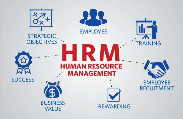 Training Human Resource Management