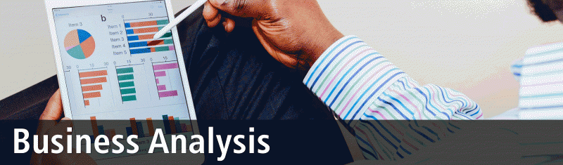 BUSINESS ANALYSIS AND VALUATION