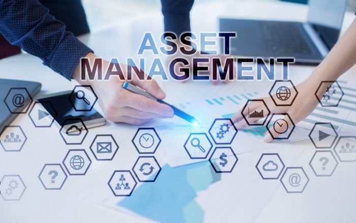 Pelatihan Asset Management