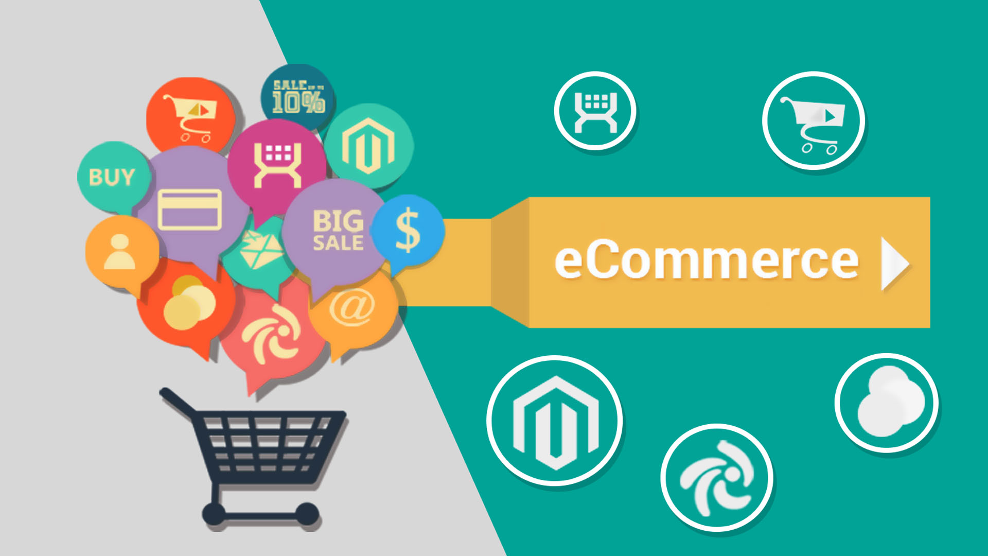 Training e-Commerce Consultant